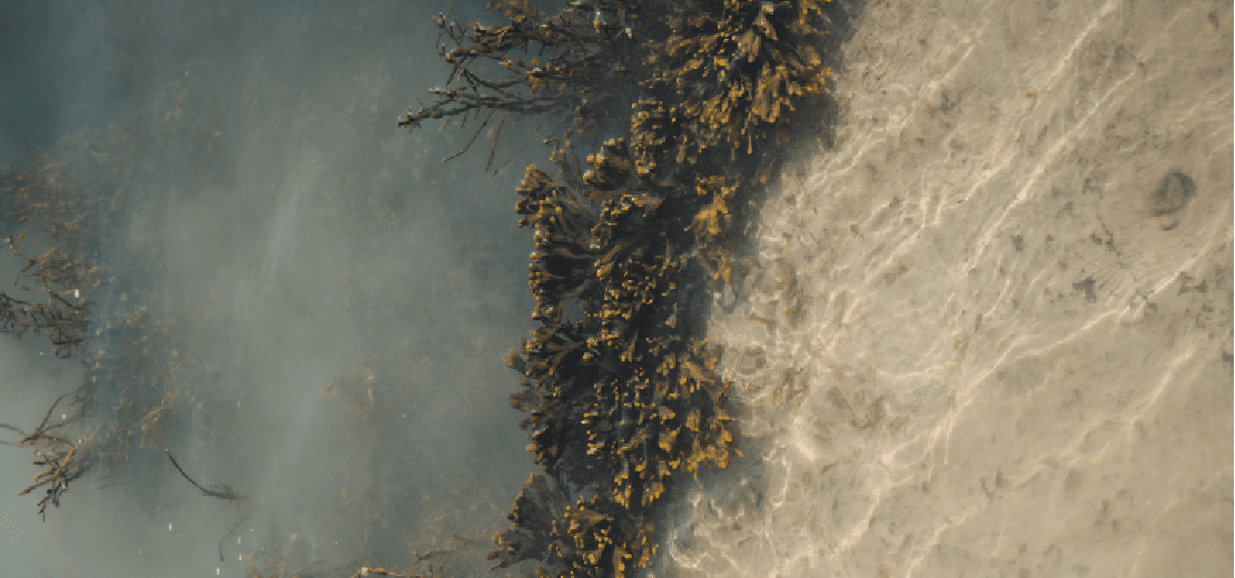 Spices of the moment